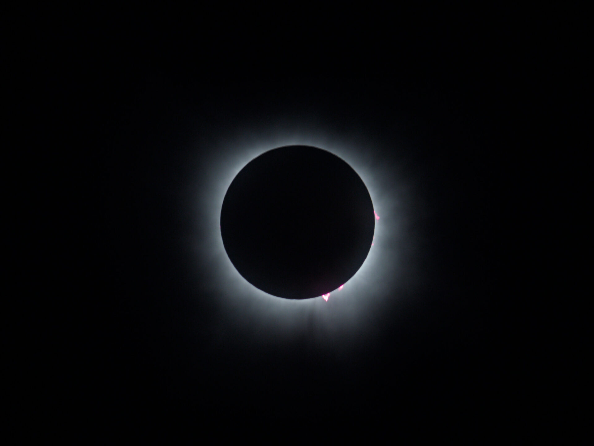 A total eclipse of the sun with visible corona and three reddish prominances